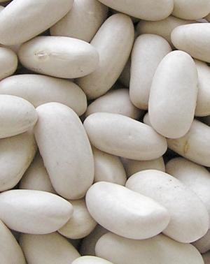 Alubìas blancas